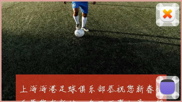 上海海港足球俱乐部恭祝您新春快乐愿您在新的一年里万事如意心想事成