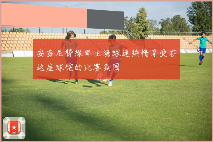 安芬尼赞绿军主场球迷热情享受在这座球馆的比赛氛围