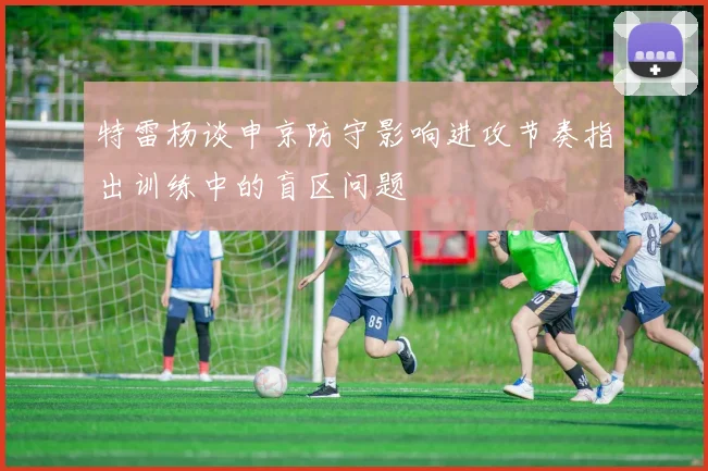 特雷杨谈申京防守影响进攻节奏指出训练中的盲区问题